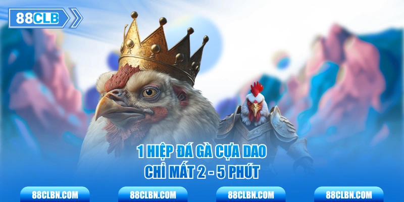 1 hiệp đá gà cựa dao chỉ mất 2 - 5 phút