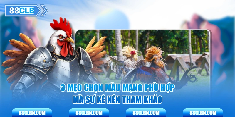 3 mẹo chọn màu mạng phù hợp mà sư kê nên tham khảo