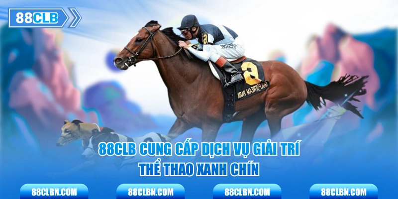 88CLB cung cấp dịch vụ giải trí thể thao xanh chín