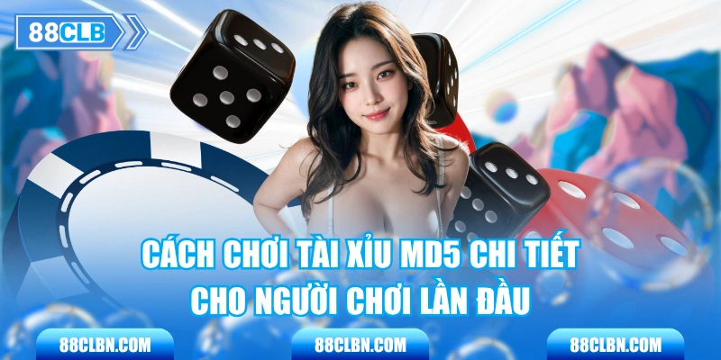 Cách Chơi Tài Xỉu MD5 Chi Tiết Cho Người Chơi Lần Đầu