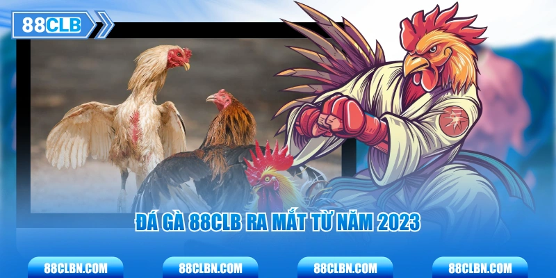 Đá Gà 88CLB ra mắt từ năm 2023