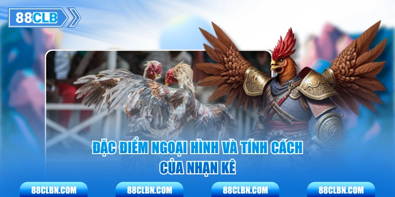 Đặc điểm ngoại hình và tính cách của Nhạn kê