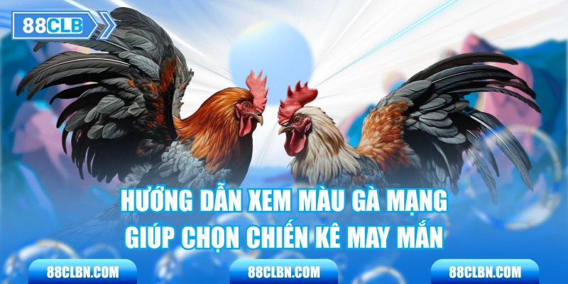 Hướng Dẫn Xem Màu Gà Mạng Giúp Chọn Chiến Kê May Mắn