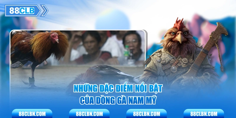 Những đặc điểm nổi bật của dòng gà Nam Mỹ