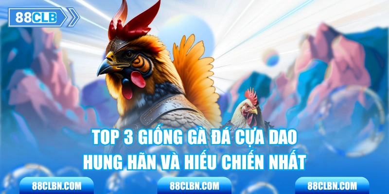 Top 3 Giống Gà Đá Cựa Dao Hung Hãn Và Hiếu Chiến Nhất