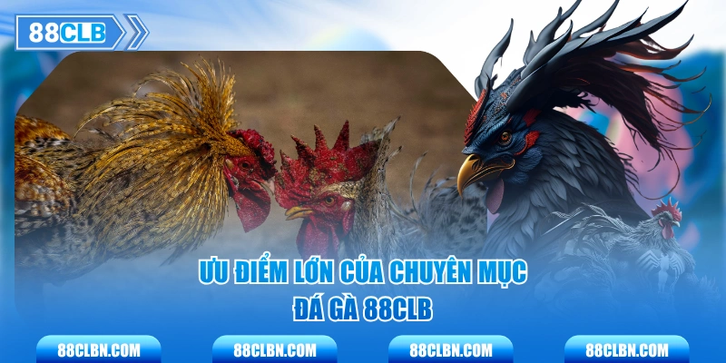 Ưu điểm lớn của chuyên mục Đá Gà 88CLB